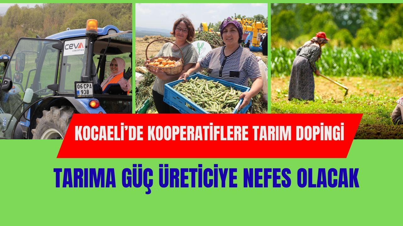 Kocaeli’de Hibe Desteği İçin Geri Sayım Başladı: Büyükşehir’den Tarıma Büyük Hamle