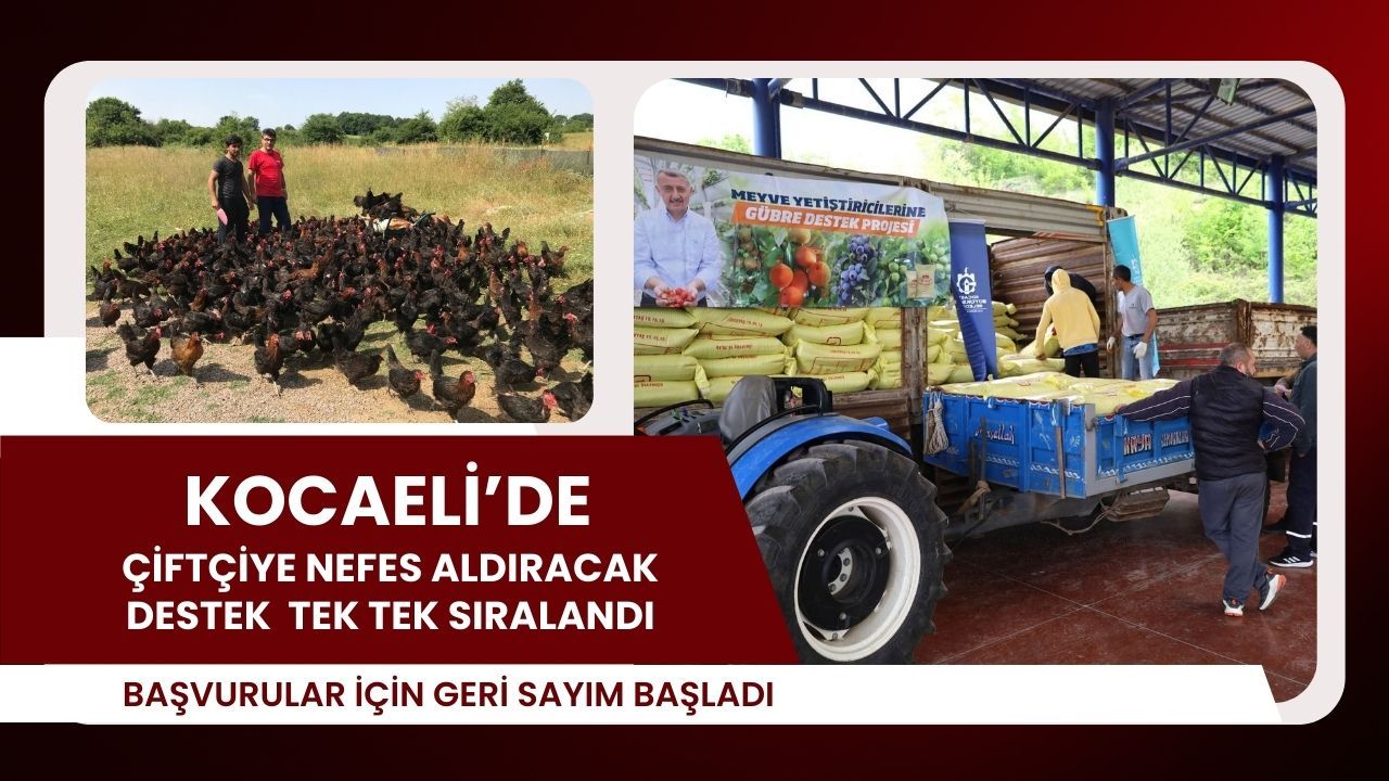 Üreticiler sıraya girdi: Kocaeli Kırsalında Başlayan Hareketlilik Şaşırttı
