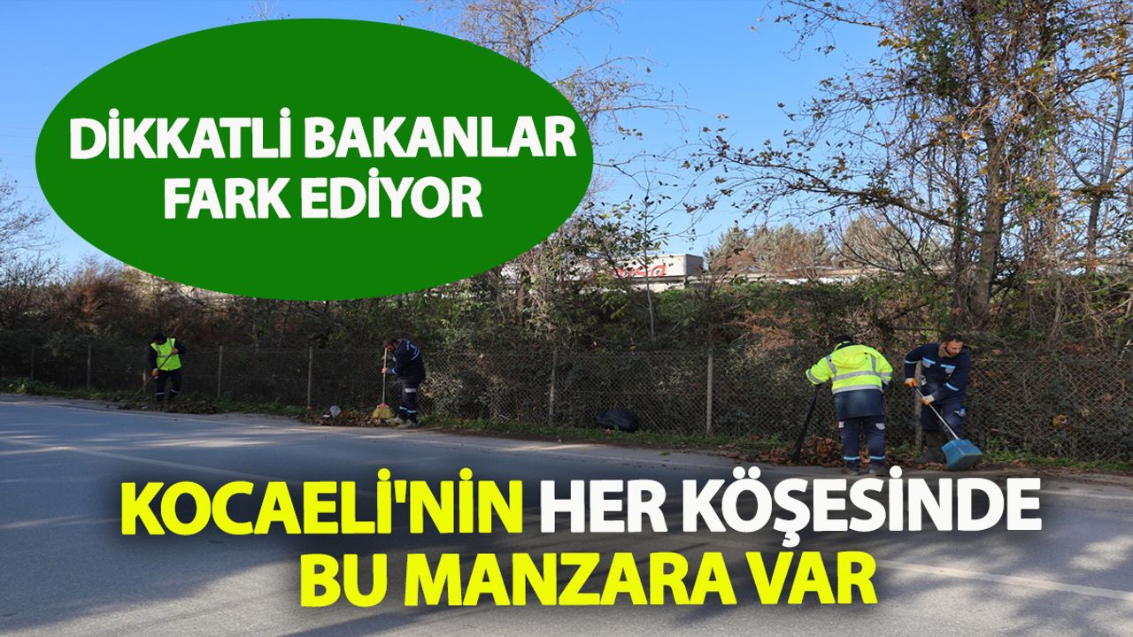 Kocaeli’de Her Gün Aynı Hikaye Başlıyor: Şehrin Görünmeyen Ritüeli