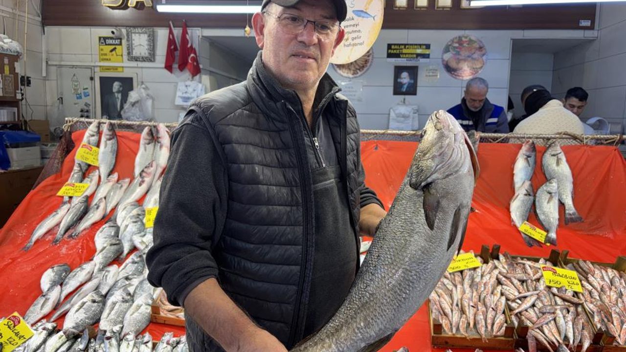 Kocaeli’de Balık Fiyatları Akıl Sınırını Zorladı: Etiketleri gören geri dönüyor