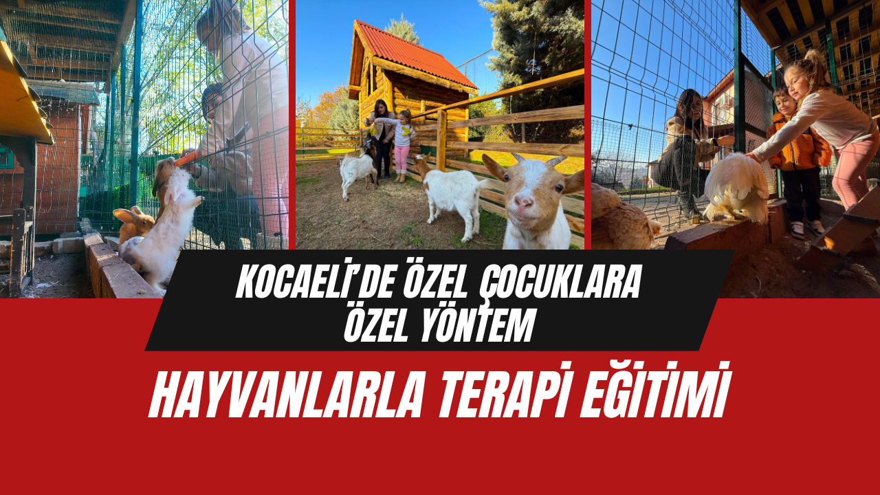 Kocaeli’de Özel Çocuklara Özel Yöntem: Hayvanlarla Terapi Eğitimi