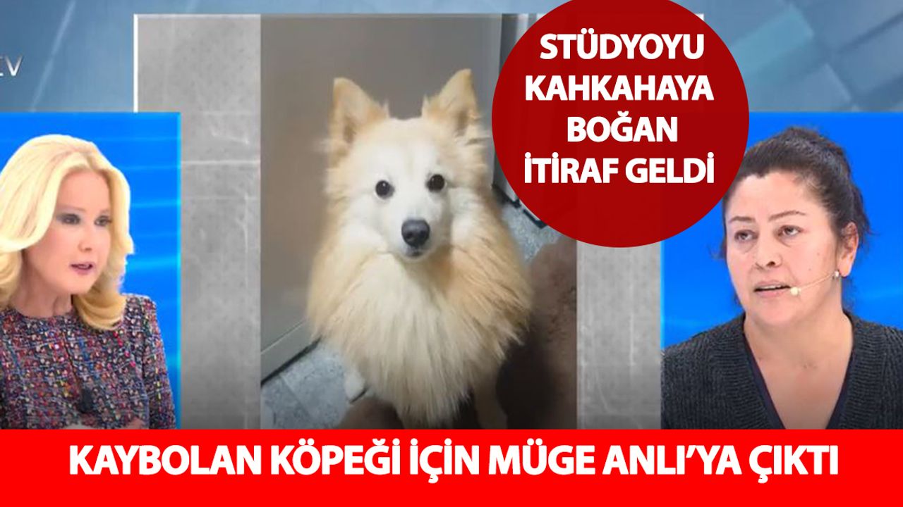 Hobit’i ararken eşi arada kaynadı! Müge Anlı’da stüdyoyu kahkahaya boğan anlar