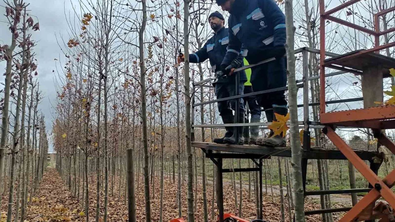 Dev üretim alanı dikkat çekti: Kocaeli’nin yeşil geleceği burada şekilleniyor