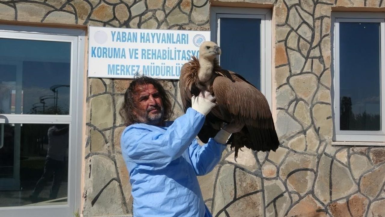 Prof. Dr. Lokman Aslan uyardı: Bilinçsiz besleme hayvanları saldırganlaştırıyor