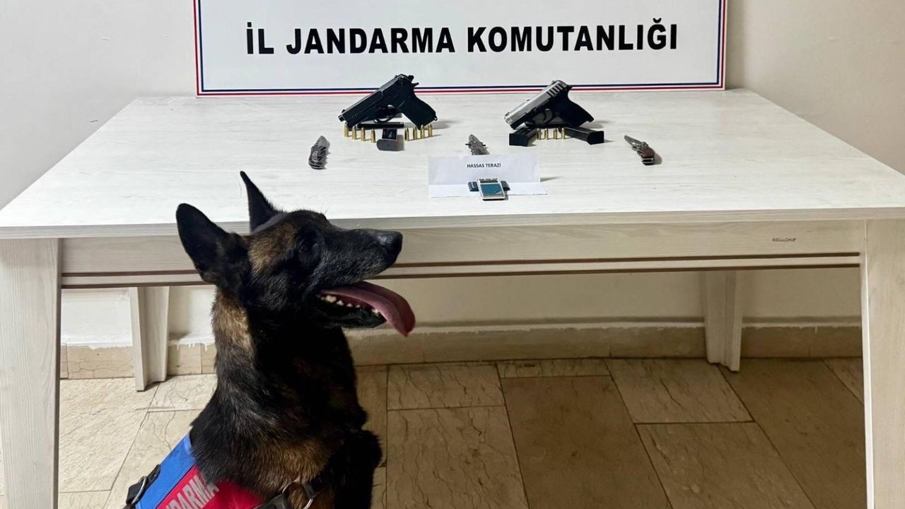 Van Erciş’te jandarmadan başarılı operasyon: 2 ruhsatsız tabanca ele geçirildi