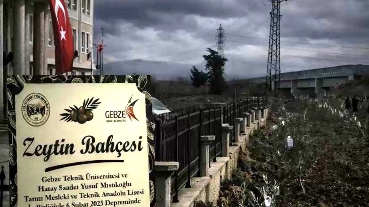 Hatay’a Depremde Yitirilen Öğretmenler İçin Zeytinlik