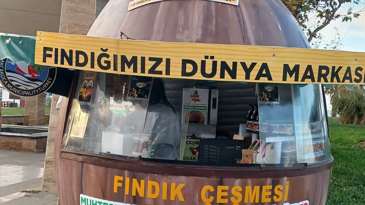 MARSİAD’dan Özgür Özel’e açık çağrı: “Fındıkta tekel birlikte kırılsın”