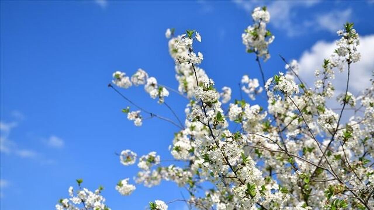 2026'da ilk cemre ne zaman düşecek?