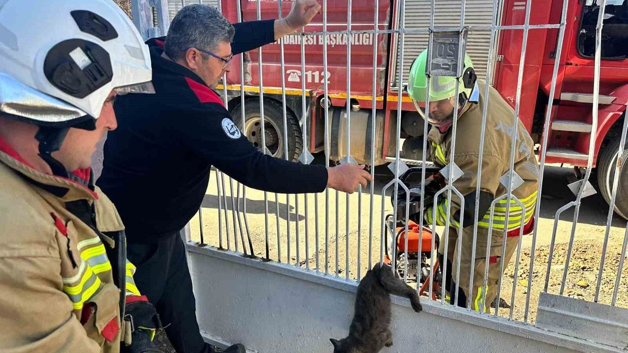 Kapı Korkuluğuna Sıkışan Kedi Kurtarıldı