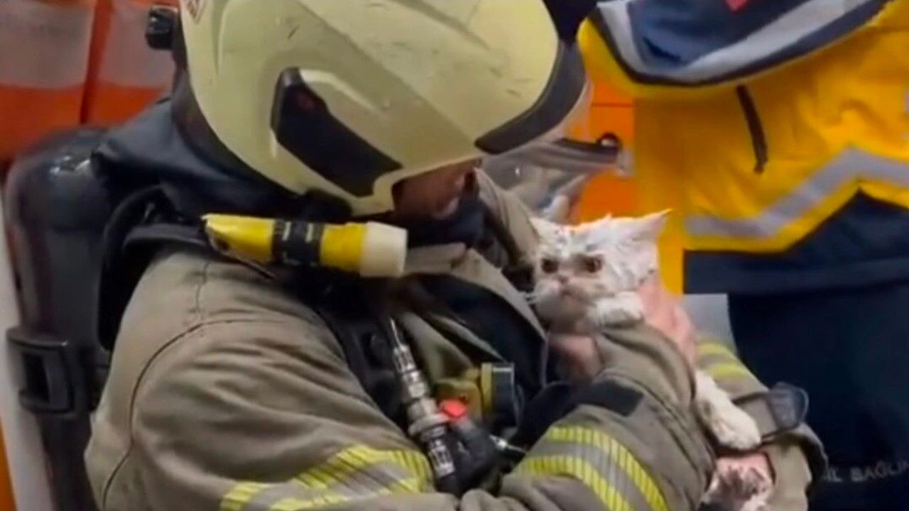 Fatih’te Ahşap Binalarda Yangın: Bir Kedi Kurtarıldı