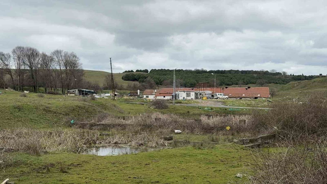 Arnavutköy’de Çiftlik Evinde Testere Saldırısı: Polis Şüpheliyi Arıyor