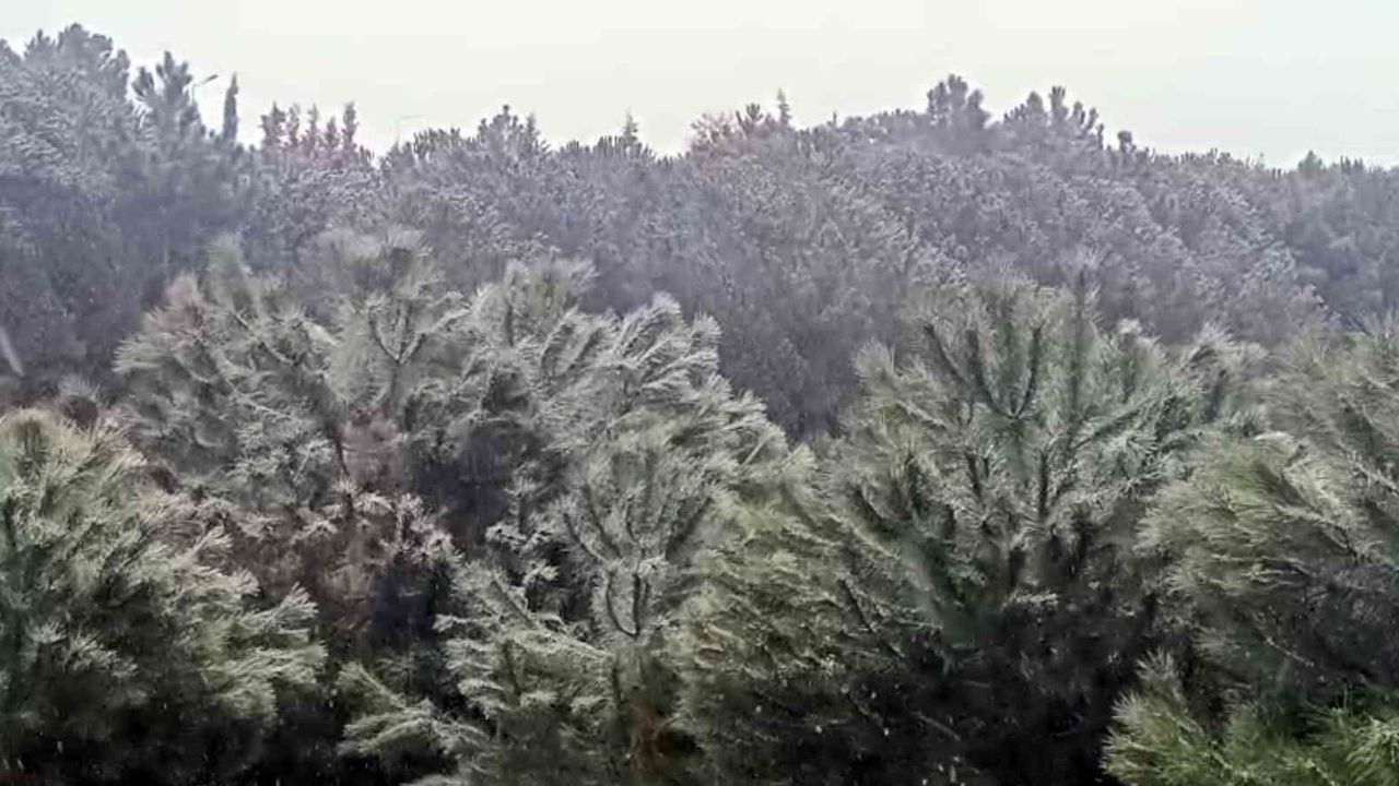 İstanbul’da Kar Yüksek Kesimlerde Etkili Oluyor