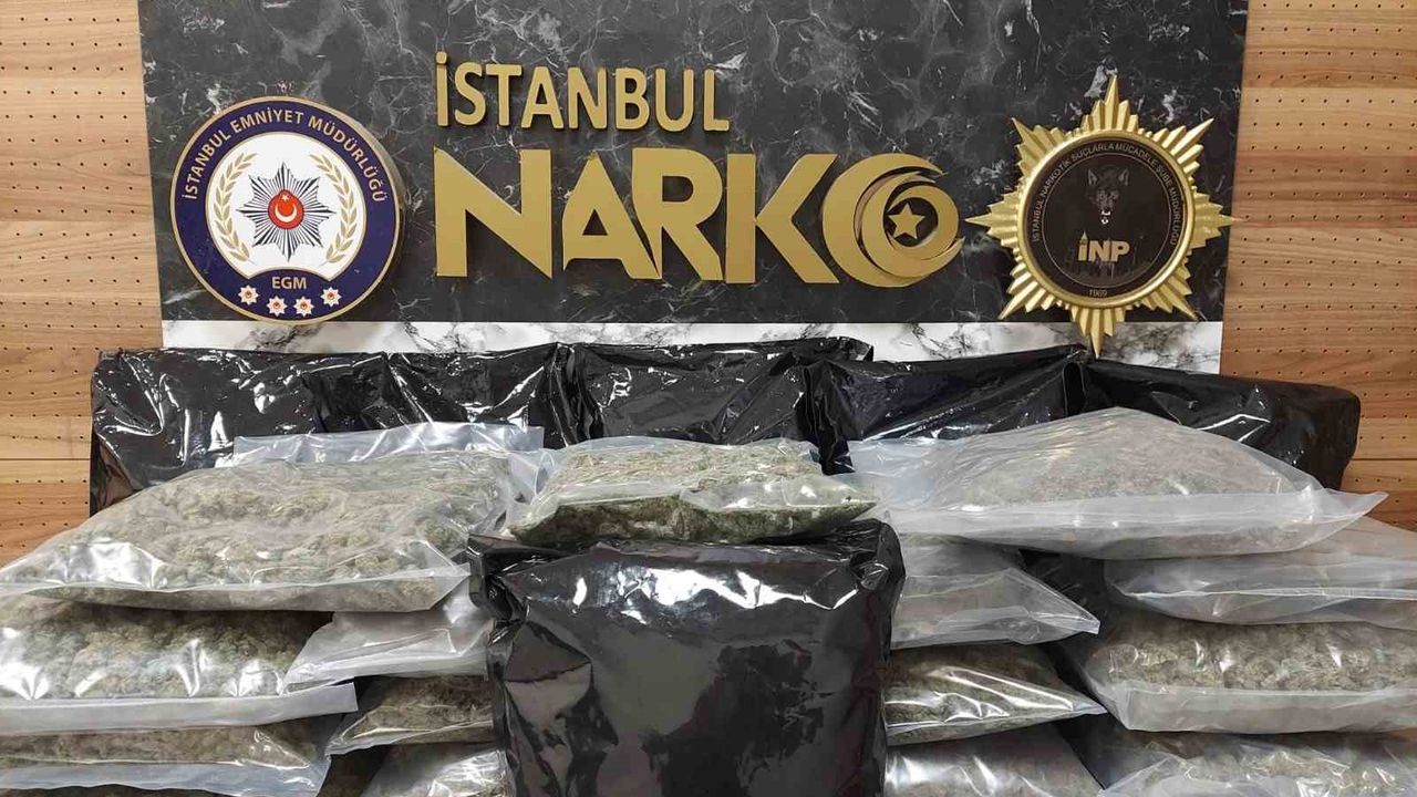 İstanbul'da uyuşturucu operasyonu: 22 kilo 450 gram skunk ele geçirildi