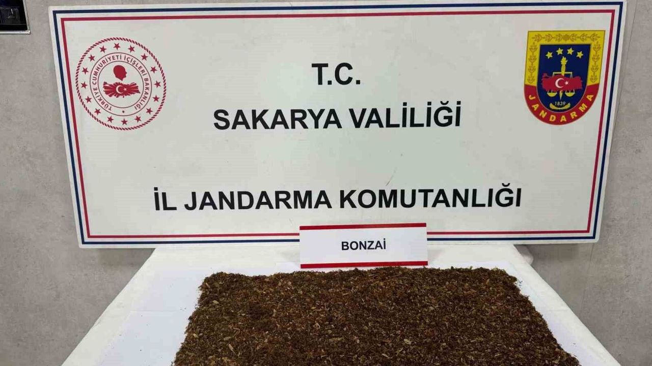 Jandarmadan uyuşturucu operasyonu: 1 tutuklama