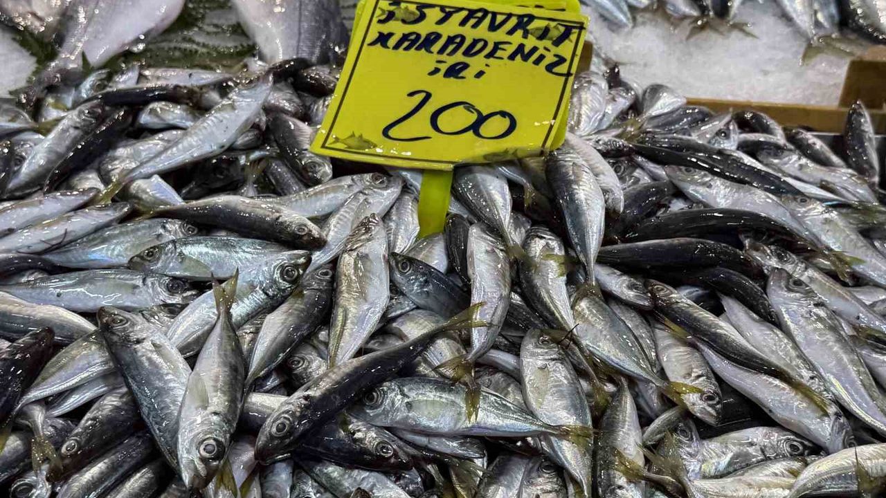 Kocaeli'de balık tezgahlarındaki son durum