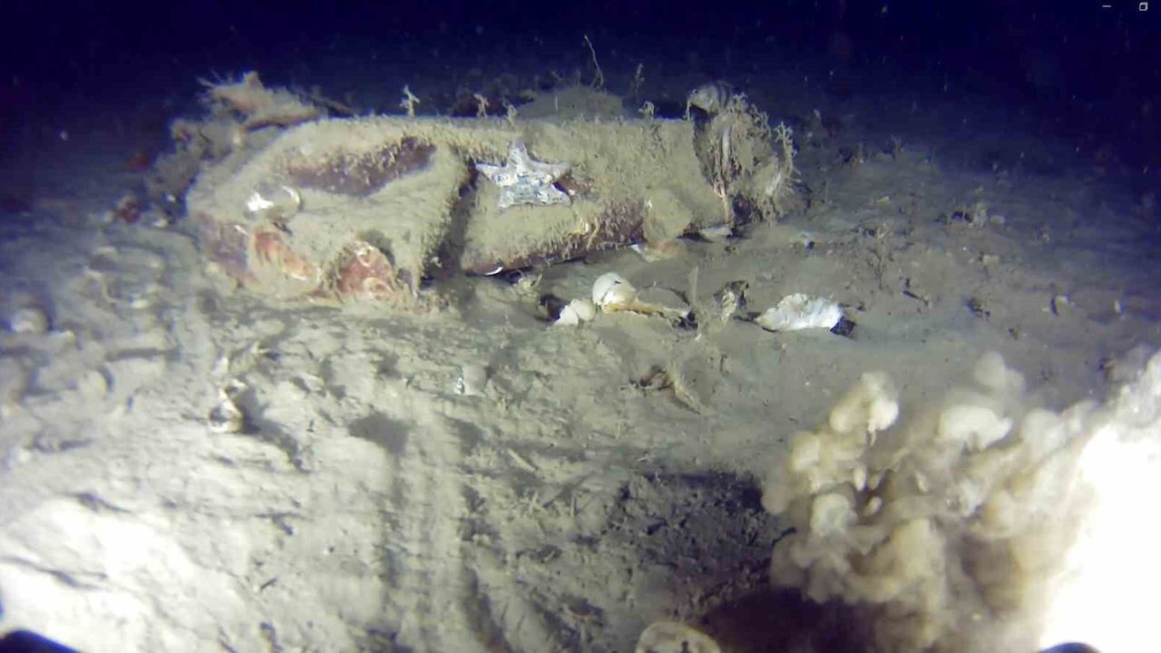 Marmara Denizi'ne 51 yıl önce düşen THY uçağına ait yeni izler bulundu