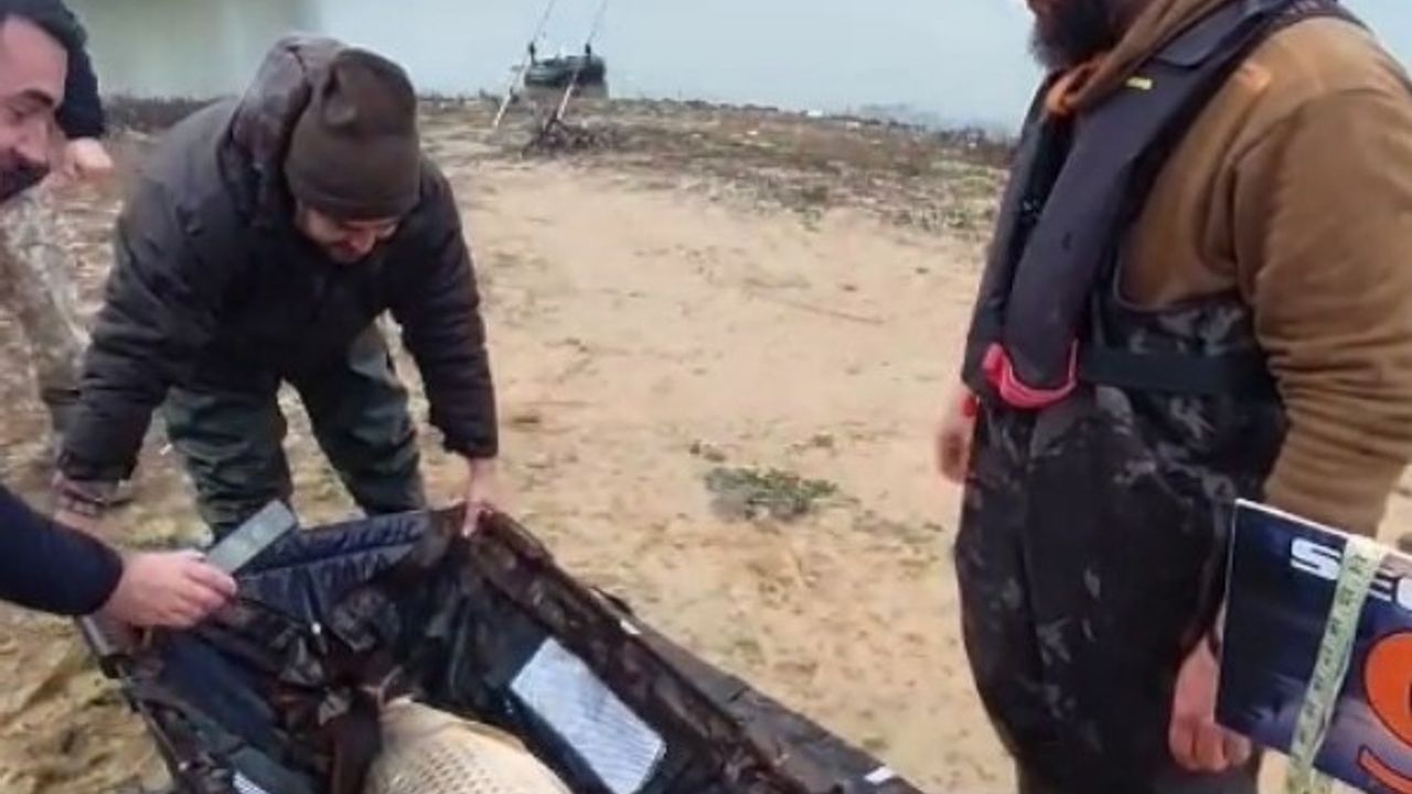 Başlık 1: Ömerli’de dev sazan heyecanı: Yaklaşık 13 kiloluk balık yeniden suya bırakıldı