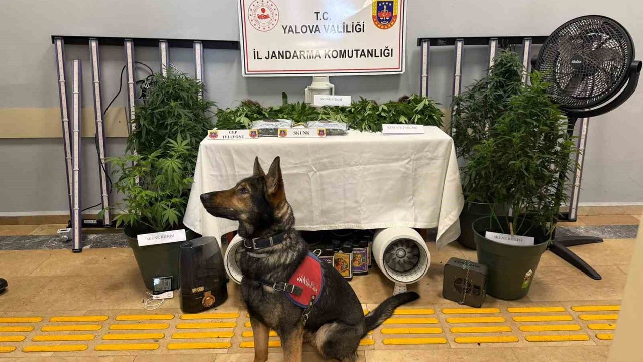 Yalova’da iklimlendirme sistemiyle uyuşturucu yetiştiren 2 zanlı tutuklandı