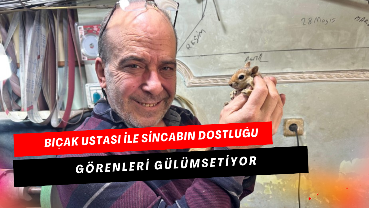 Bıçak Ustası ile Sincabın Dostluğu Görenleri Gülümsetiyor