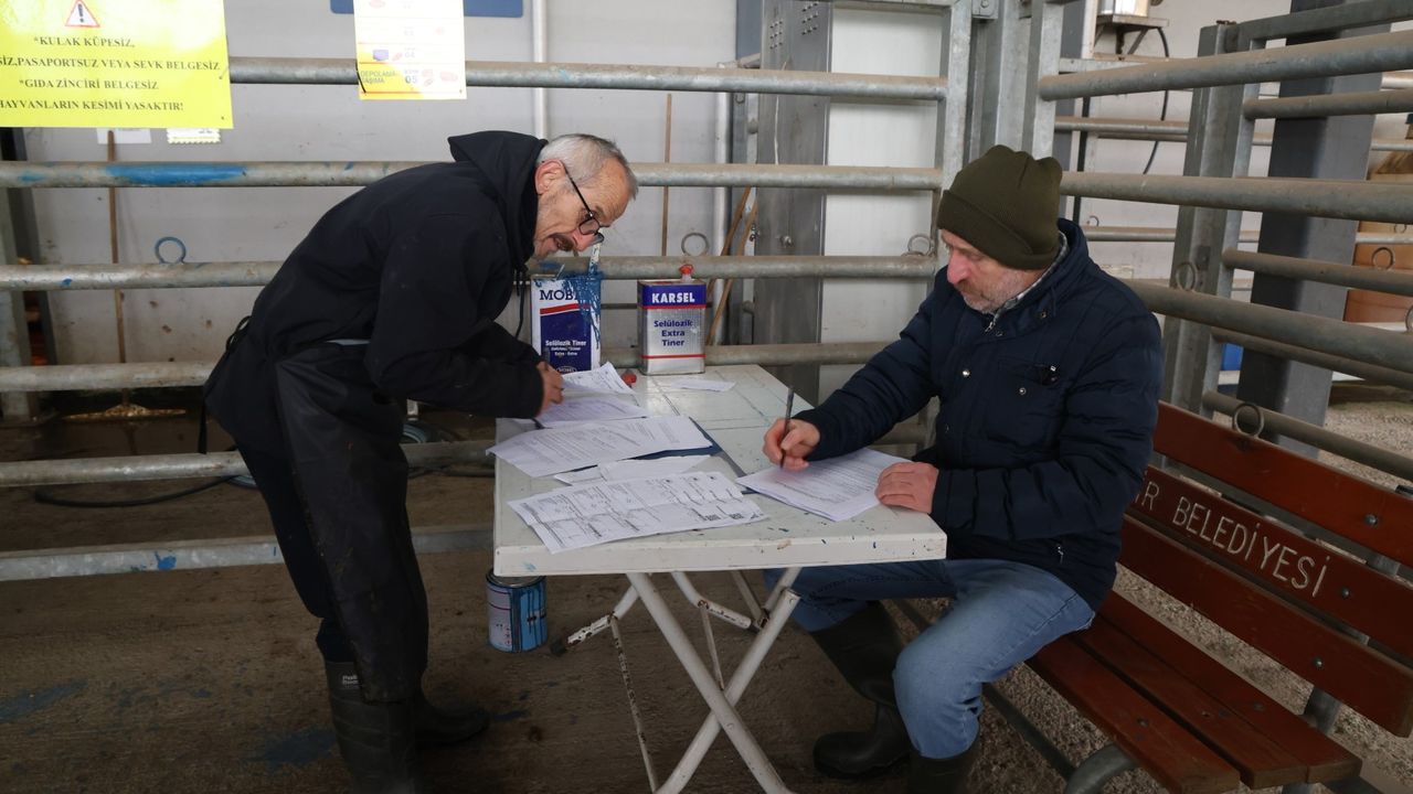 Büyükşehir Mezbahası’nda hijyenik ve helal kesim güvenle sürüyor