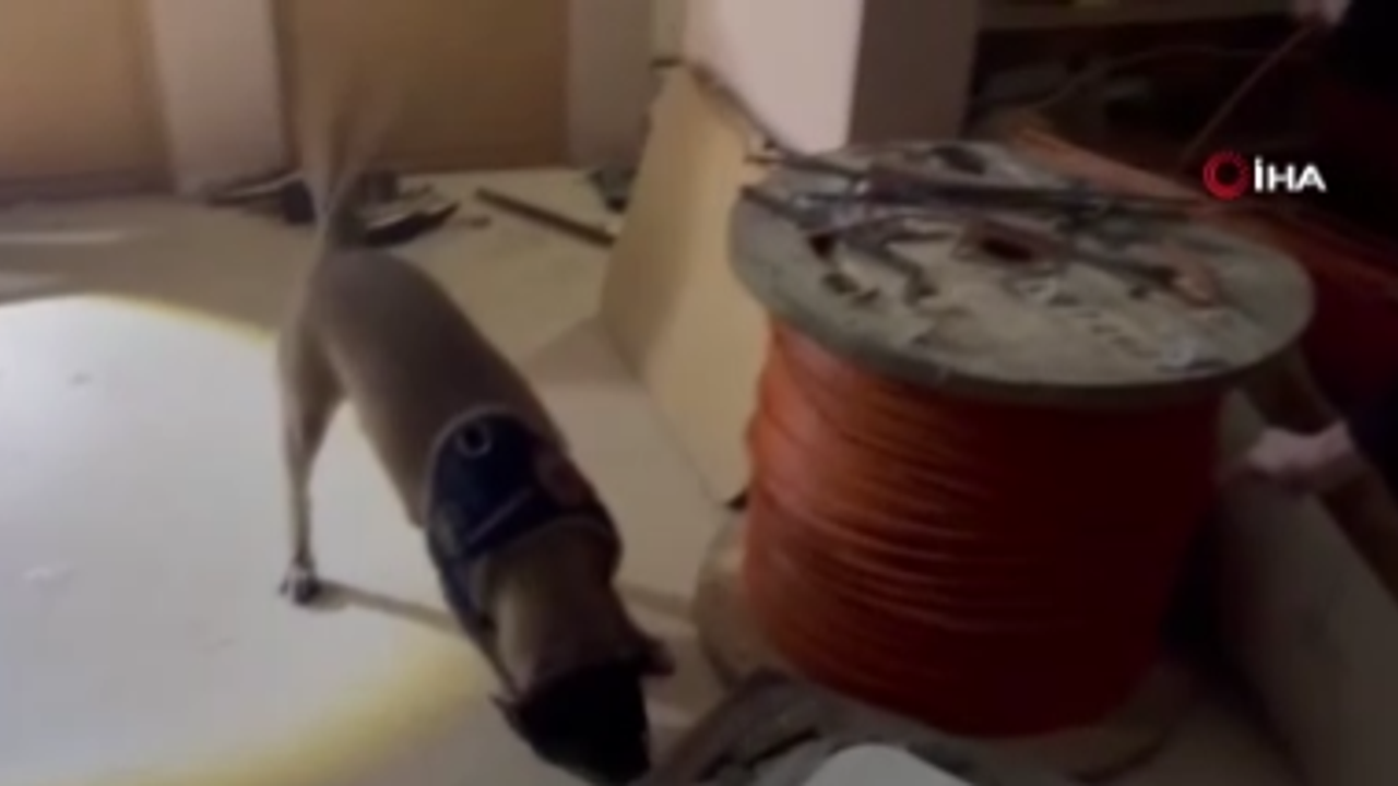 Avcılar’da cinsel istismar ihbarı sonrası uyuşturucu operasyonu: 51 kilo madde ele geçirildi