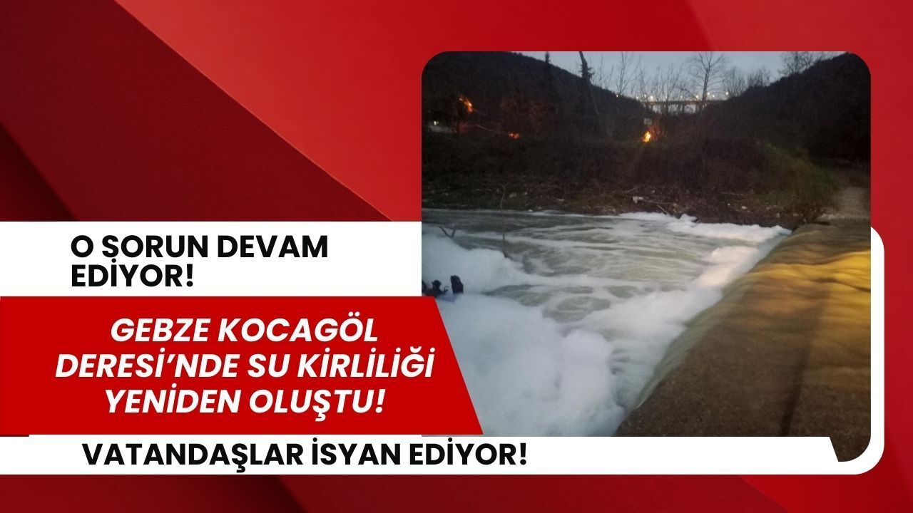 Gebze’de çevre alarmı: Kocagöl Deresi’nde kirlilik yeniden ortaya çıktı