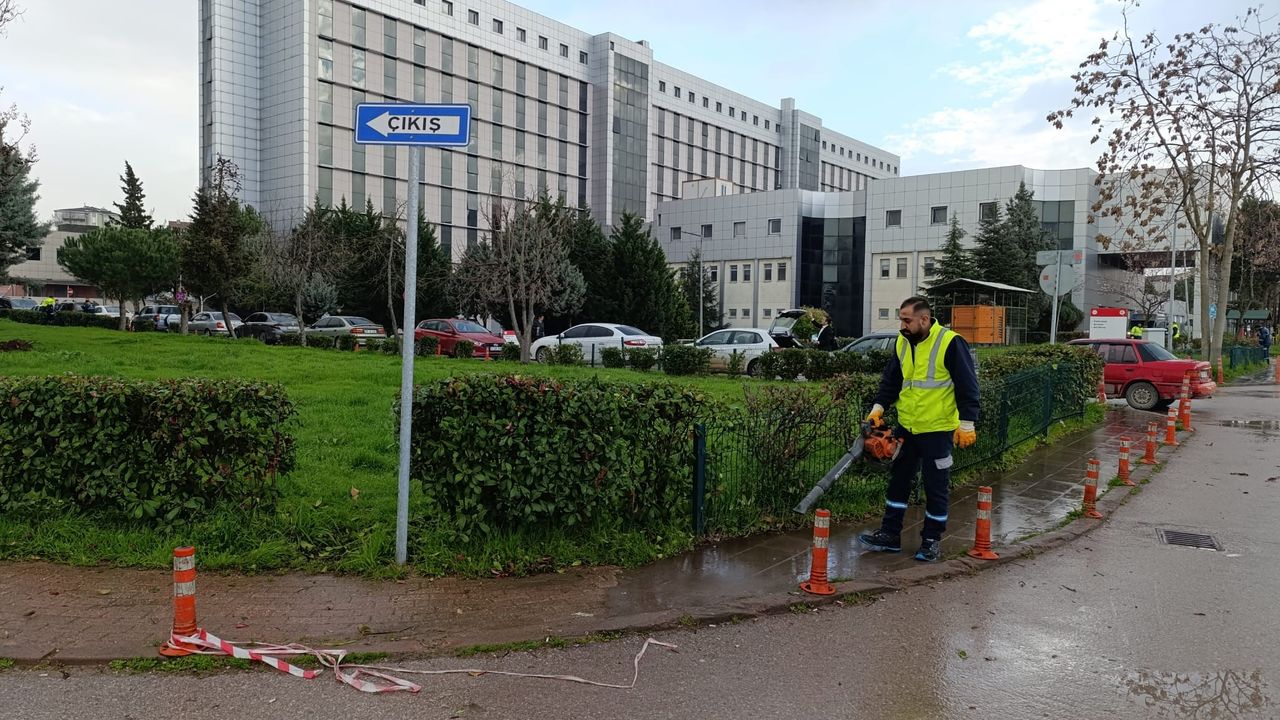 Kocaeli Büyükşehir, Hastane Bahçelerinde Budama ve Bakım Çalışması Yapıyor