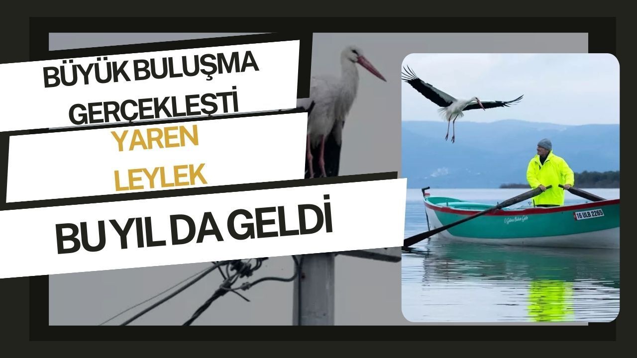 Yaren Leylek Göçten Döndü, Büyük Buluşma Yeniden Gerçekleşti