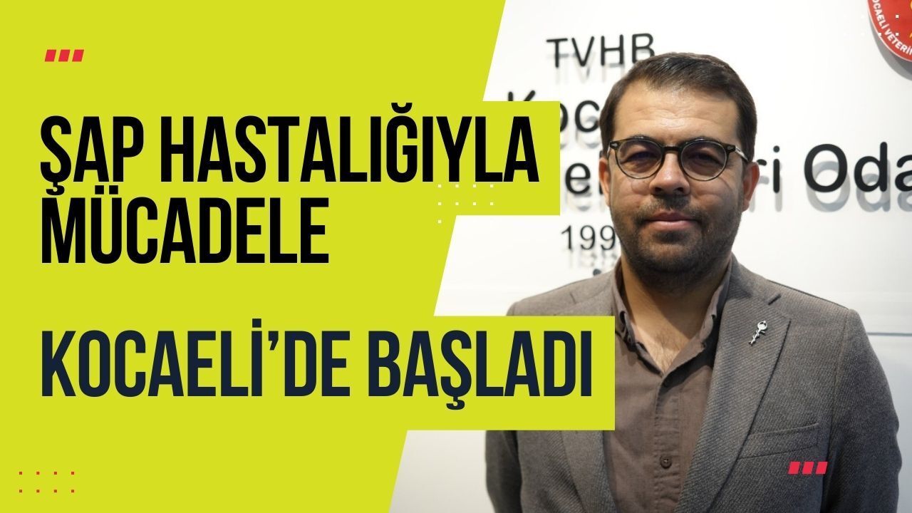Hayvancılıkta kritik süreç başladı: Şap hastalığına karşı aşılama takvimi devrede