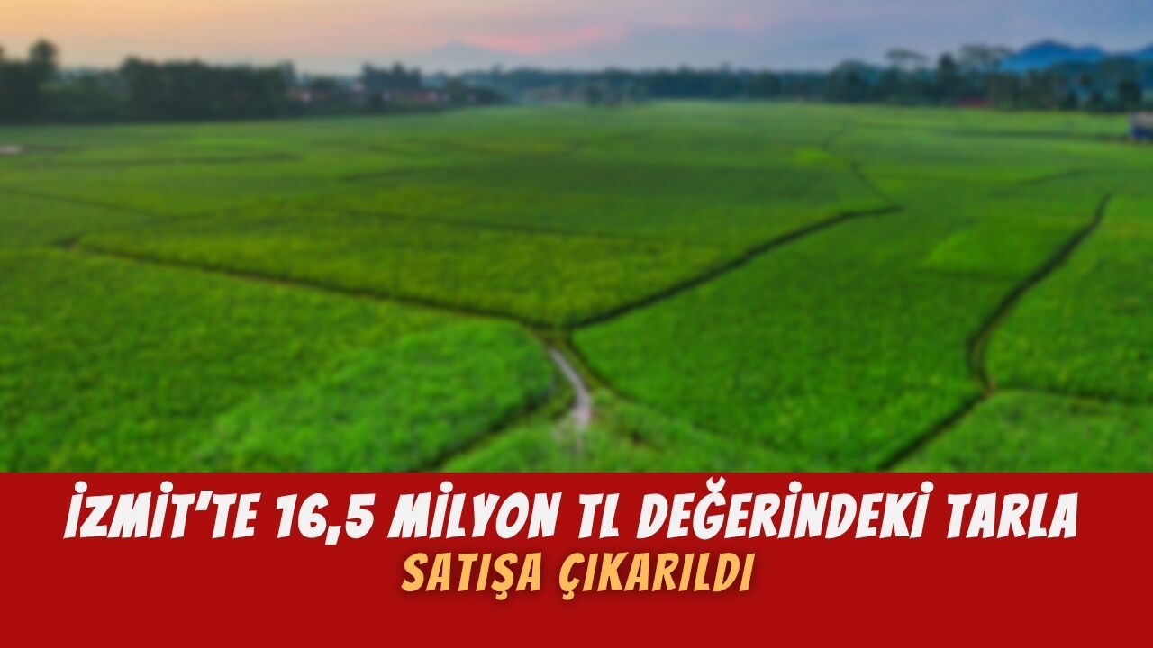 İzmit’te 16,5 Milyon TL Değerindeki Tarla Satışa Çıkarıldı