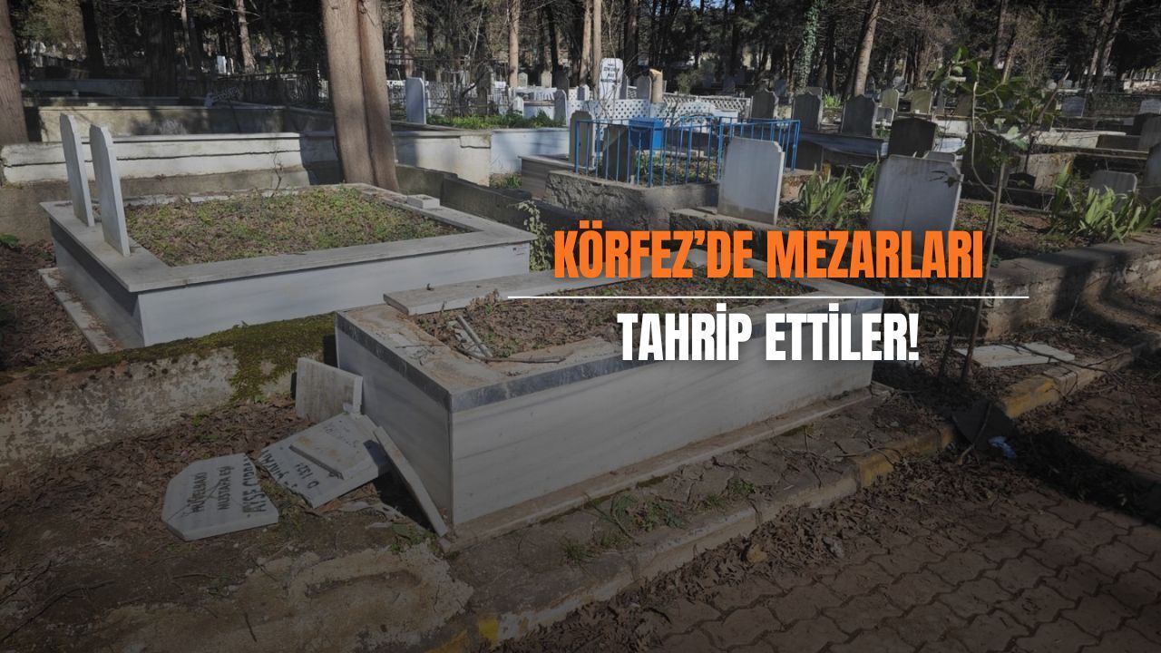 Körfez’de mezarlıkta skandal: Budama çalışması mezarlara zarar verdi