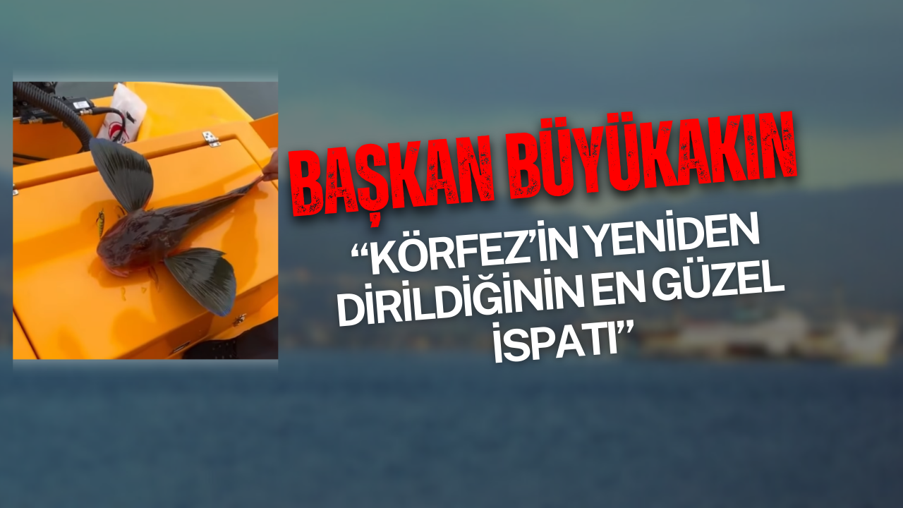 Başkan Büyükakın: “Körfez’in Yeniden Dirildiğinin En Güzel İspatı”
