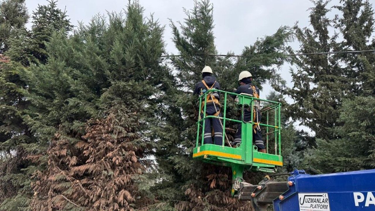 Kartepe’de Yeşil Alanlara Düzenli Bakım