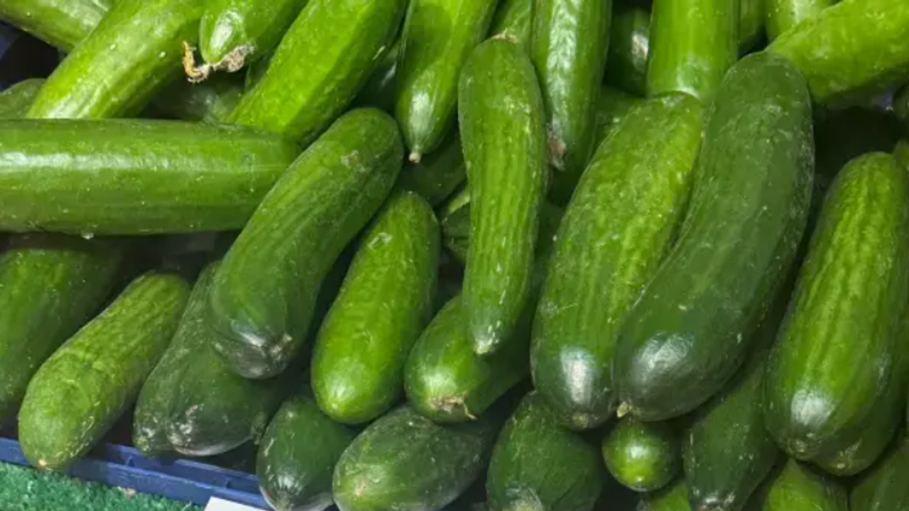 Tarlada 20 TL, rafta 129 TL! Salatalık fiyatı sosyal medyada gündem oldu