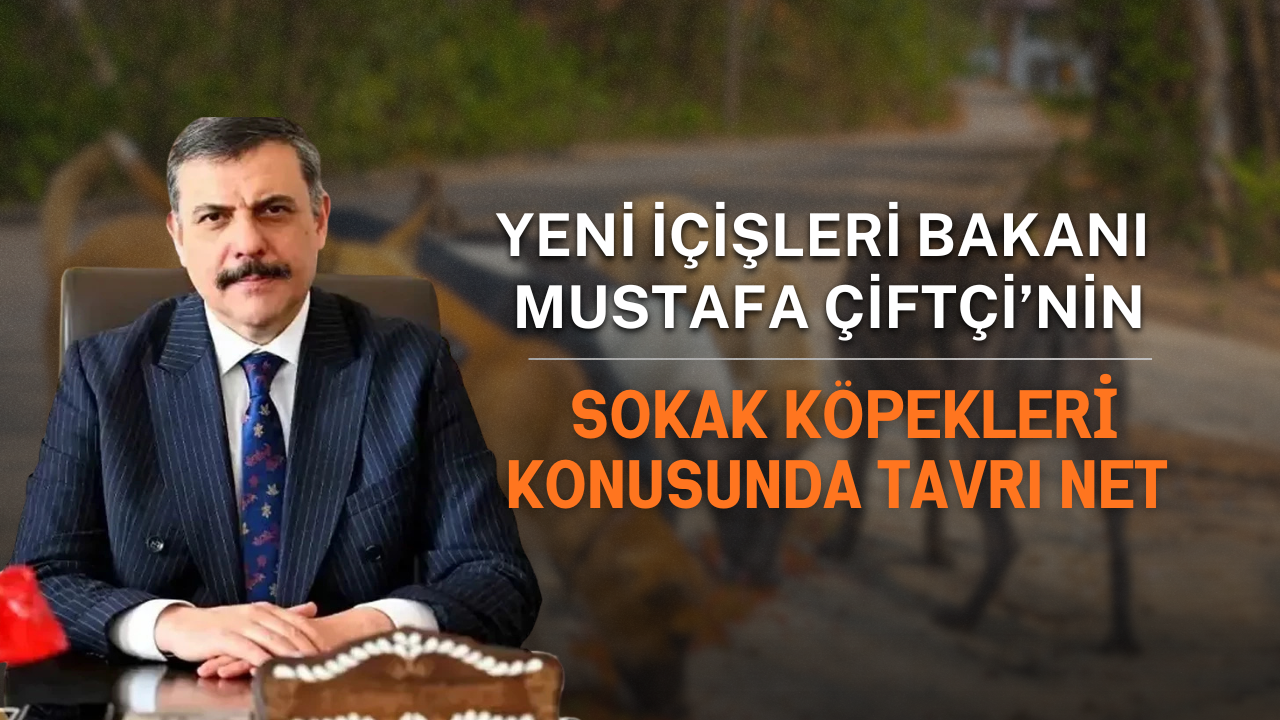 Yeni İçişleri Bakanı Mustafa Çiftçi’nin Sokak Köpekleri Konusunda Tavrı Net