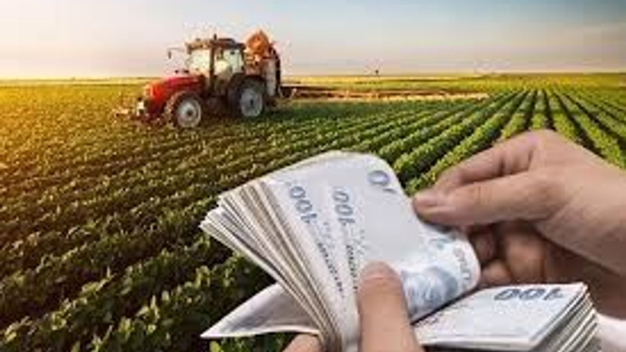 Tarım-GFE Aralık 2025’te Yıllık Yüzde 33,15 Arttı