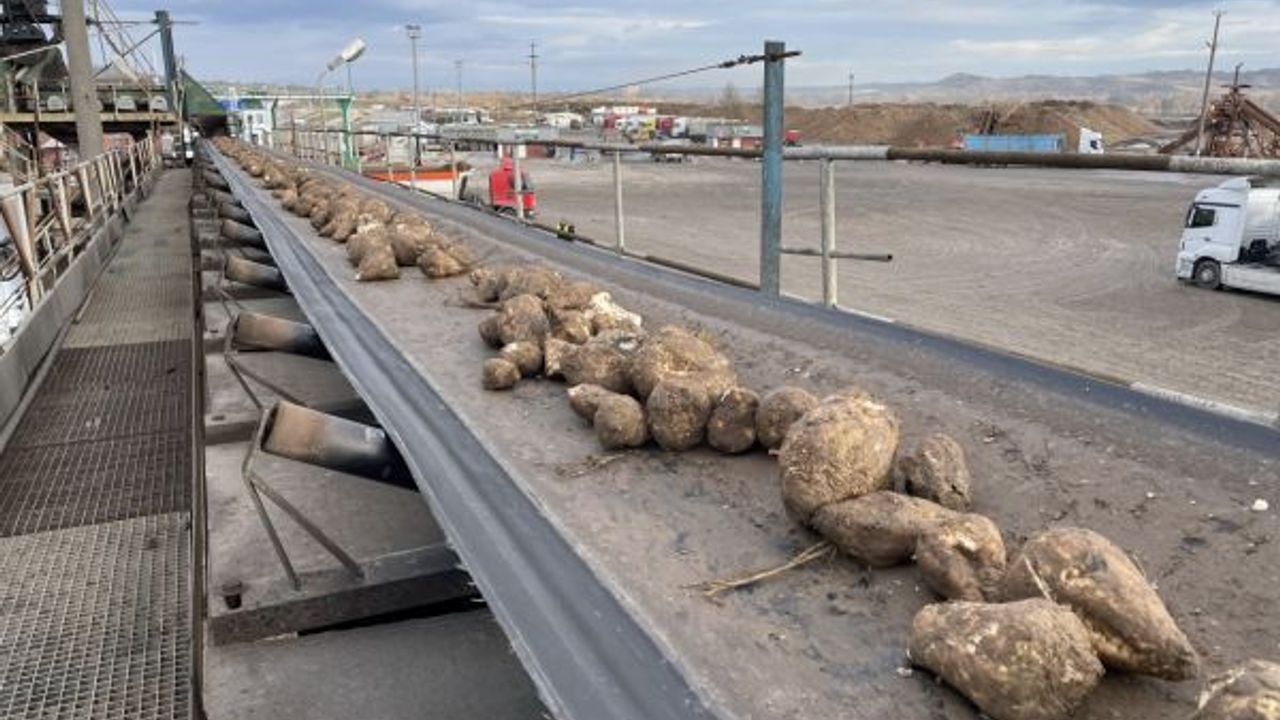 Şeker fabrikasında hareketlilik: Yıldız Holding satış için kolları sıvadı