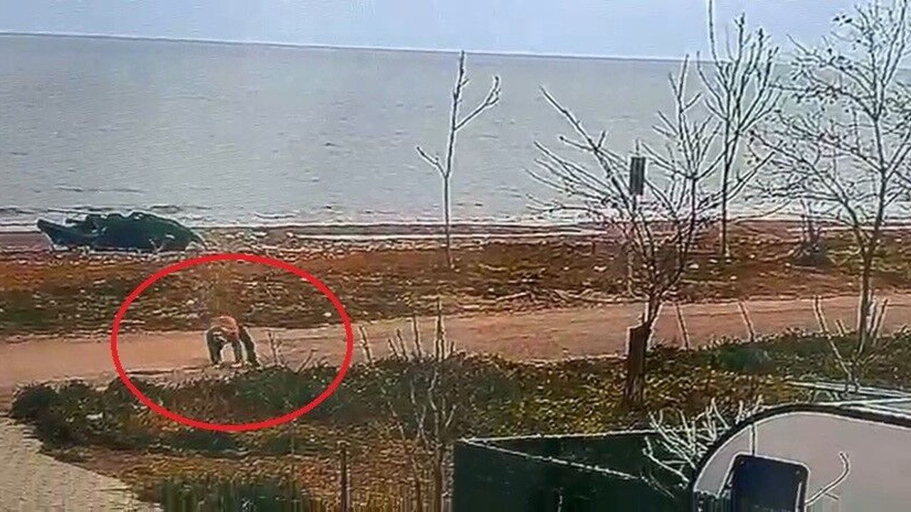 Polisten Kaçan 16 Yıllık Hükümlü Düşünce Yakalandı