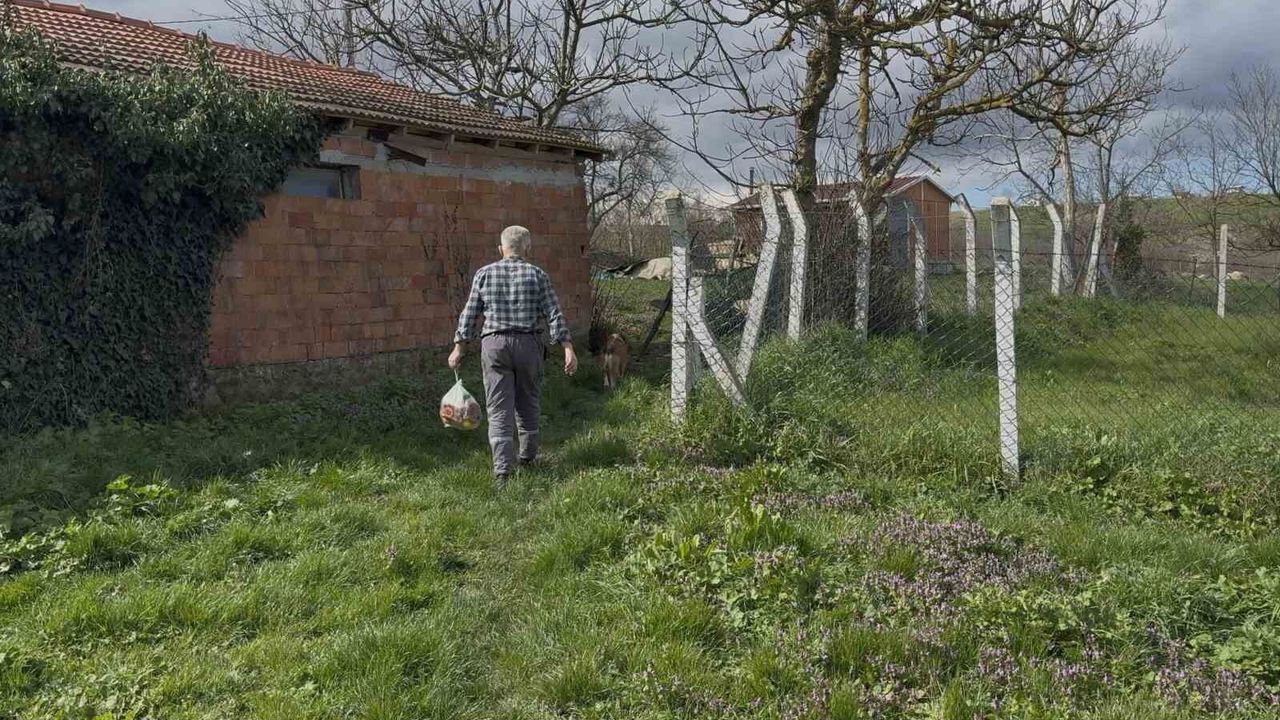 Ev var yol yok: 62 yaşındaki adam 10 yıldır tarladan yürüyor