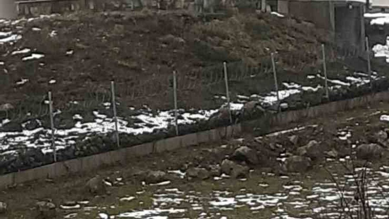 Göç yolculuğundaki leylekler Sakarya'da mola verdi