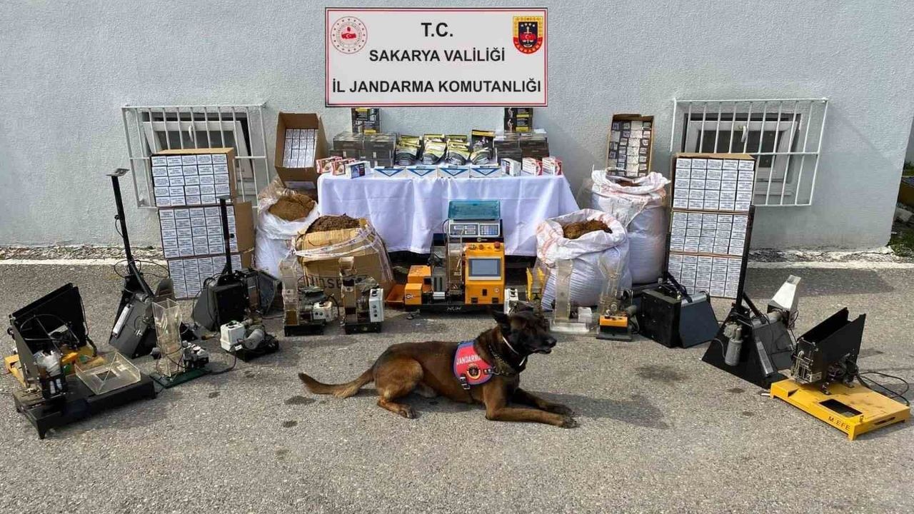 Sakarya'da kaçak tütün operasyonu