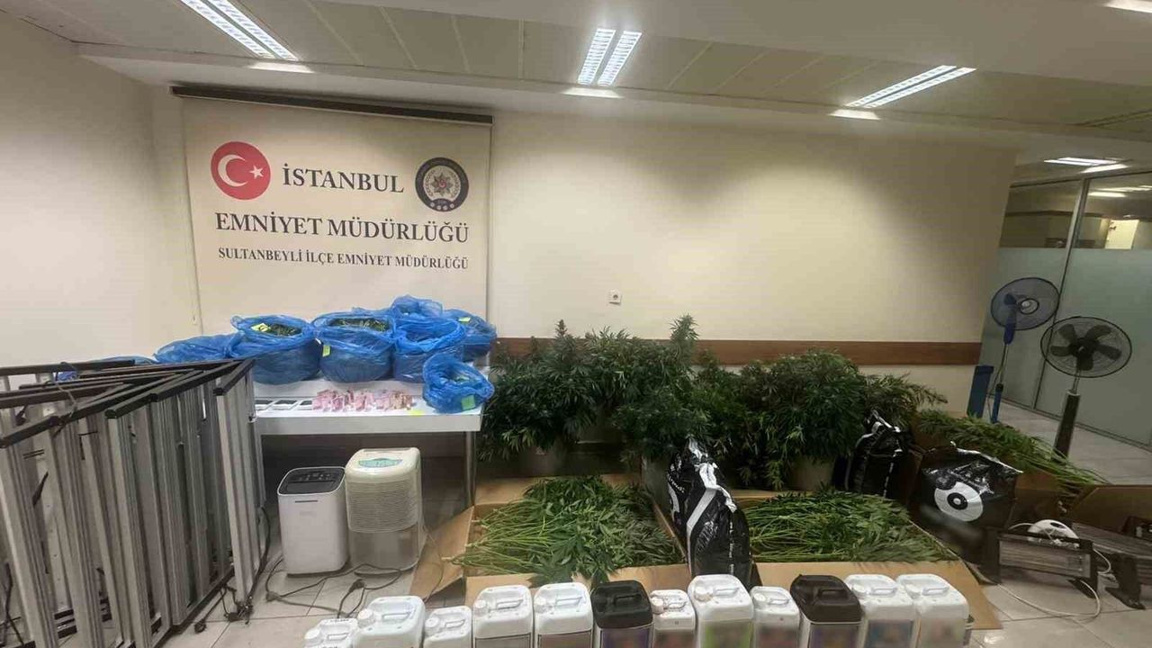 Sultanbeyli'de kenevir serasına baskın: 21 kilo Hint keneviri ele geçirildi