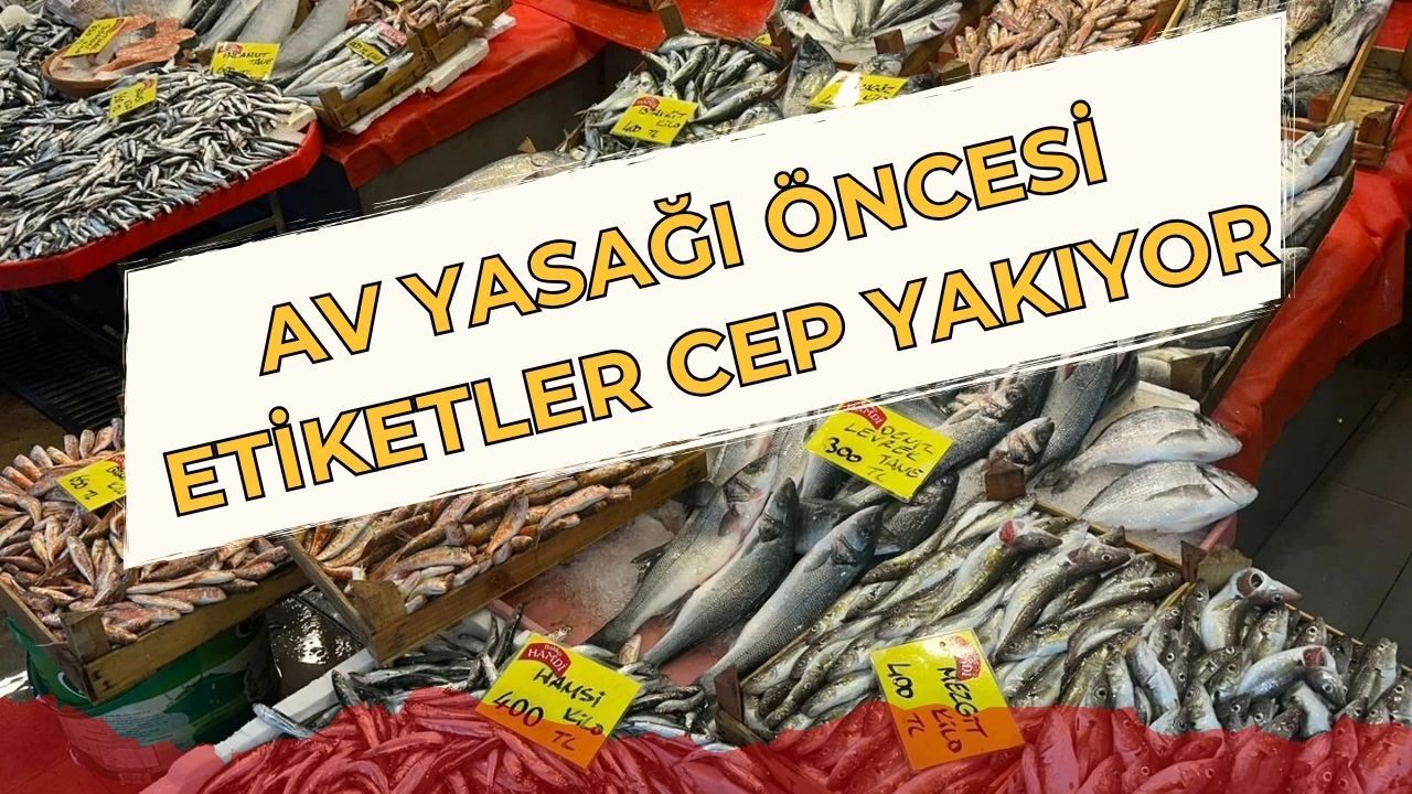 İzmit Balık Hali’nde Av Yasağı Öncesi Son Durum: Fiyatlar Yükselişe mi Geçiyor?