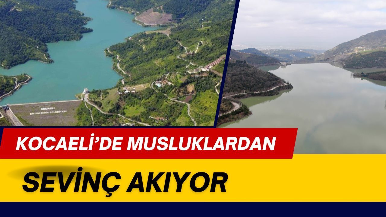 Kocaeli Barajlarında Bahar Bereketi: Yuvacık Barajı %83’e Yükseldi!