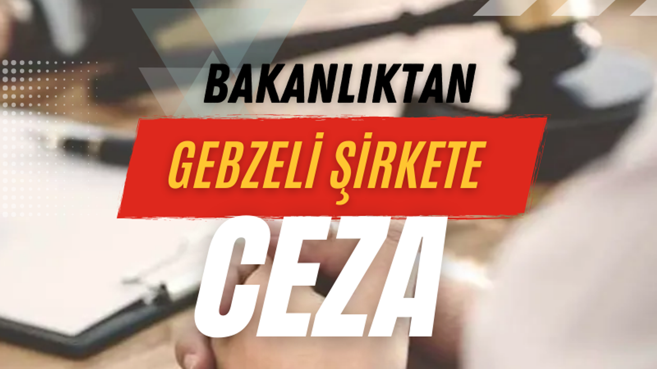 Bakanlıktan Gebzeli şirkete ceza