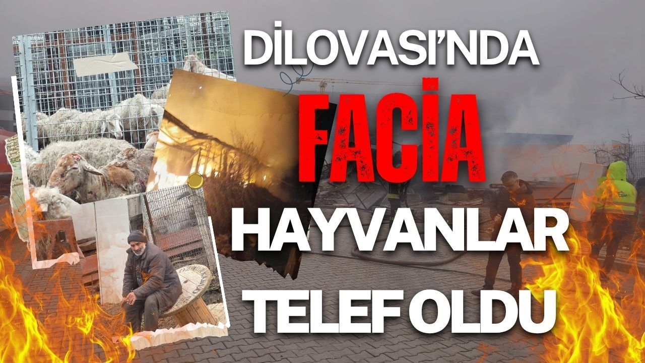Dilovası’nda Yangın Faciası: İtfaiye Çamura Saplandı, Hayvanlar Telef Oldu!