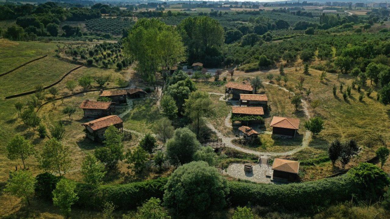 Ev var ama yol yok: 10 yıldır her gün tarlaya yürüyen adamın hikayesi