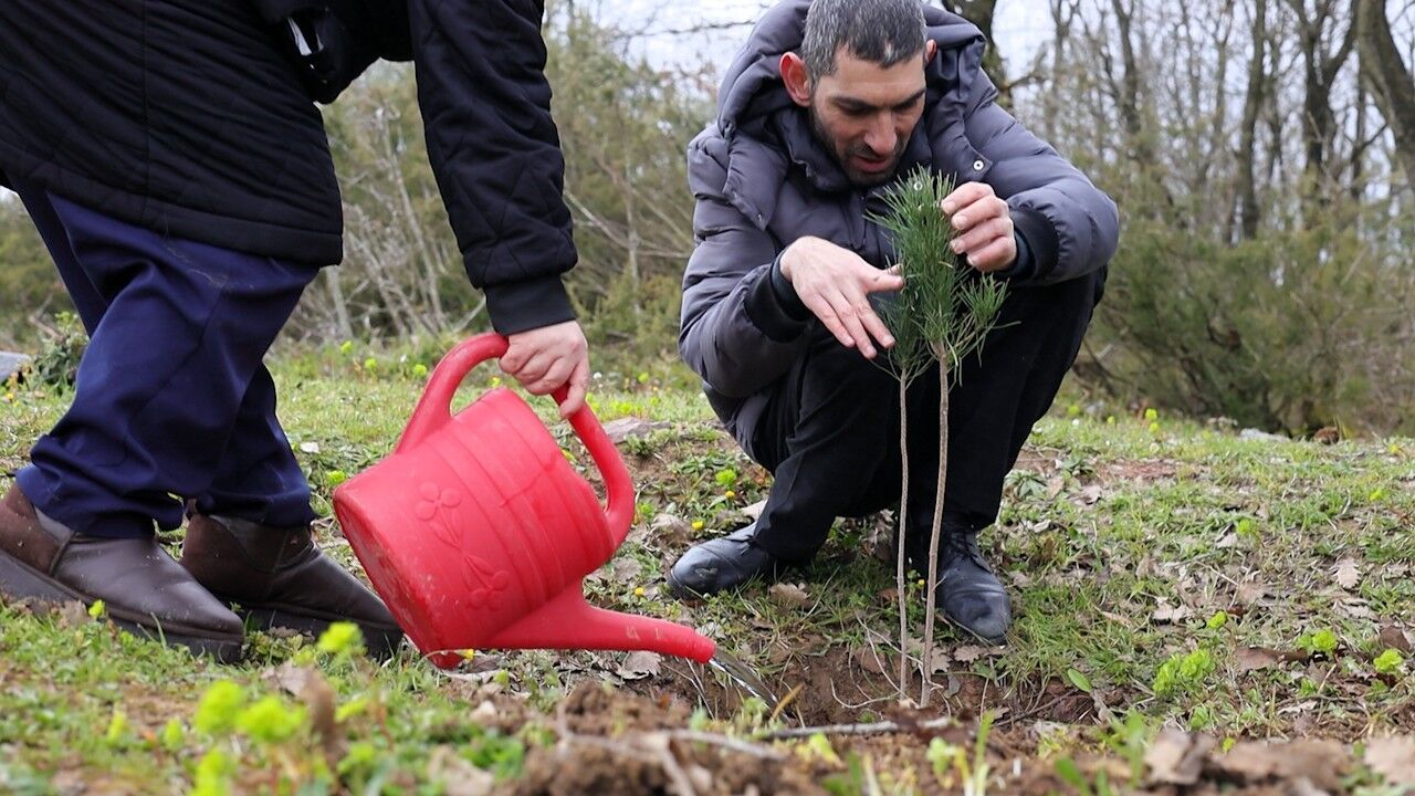 Büyükşehir’den Doğaya "Engelsiz" Dokunuş: Sepetçiler’de Fidan Dikim Seferberliği