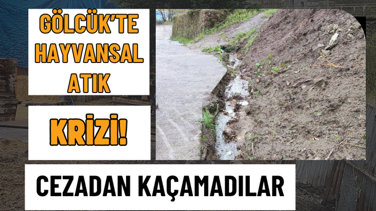 Gölcük'te Asar Deresi'ni Kirletenlere Ağır Yaptırım