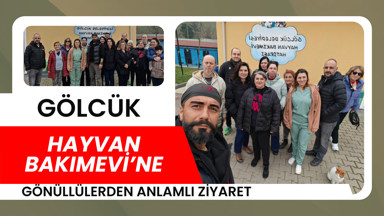 Gölcük Belediyesi Hayvan Bakımevi’ne Gönüllülerden Anlamlı Ziyaret